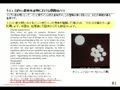 【水戸】【聖域5項目とISD】田淵隆明氏が語るTPPの恐怖(短時間版)