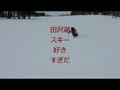 田沢湖　スキー　好き　すぎだ！
